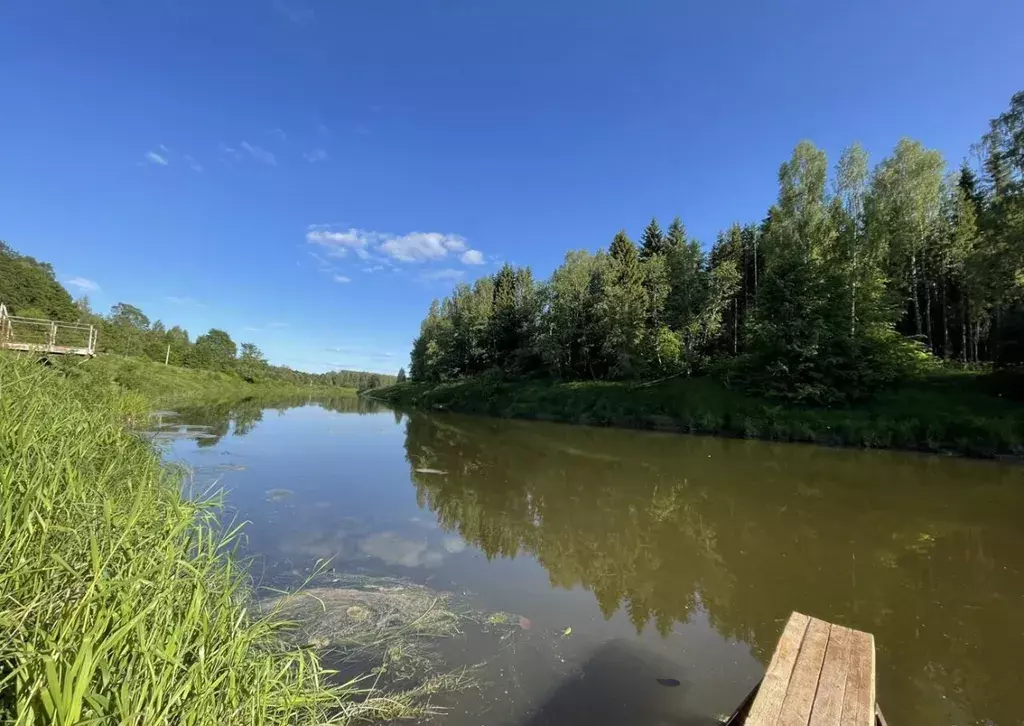 дом р-н Ярославский с Введенье ул Береговая 4 фото 32