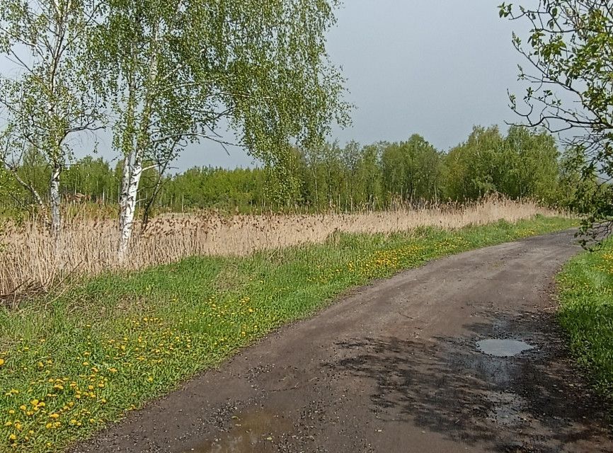 земля 164, городской округ Воскресенск, СНТ Союз фото 6