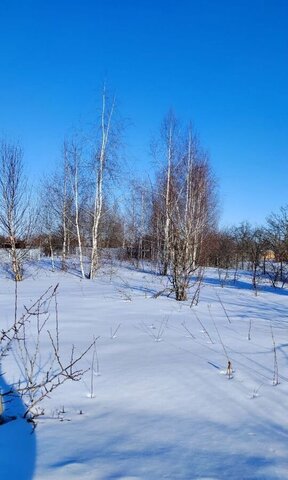Батуринское сельское поселение, садоводческое товарищество Весна, 127 фото