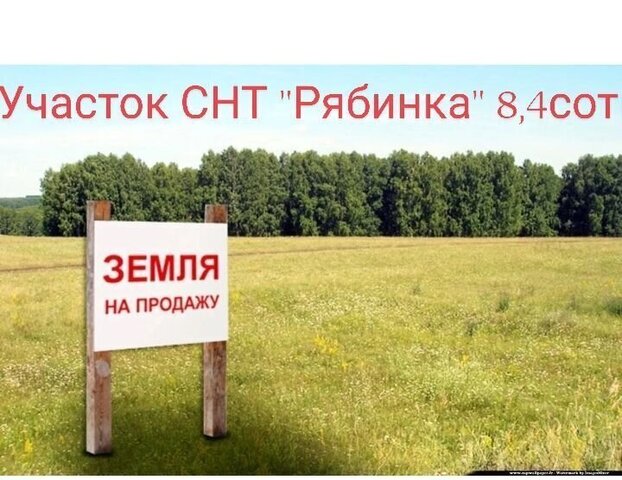 Богданихское сельское поселение, сельскохозяйственный производственный кооператив Рябинка фото