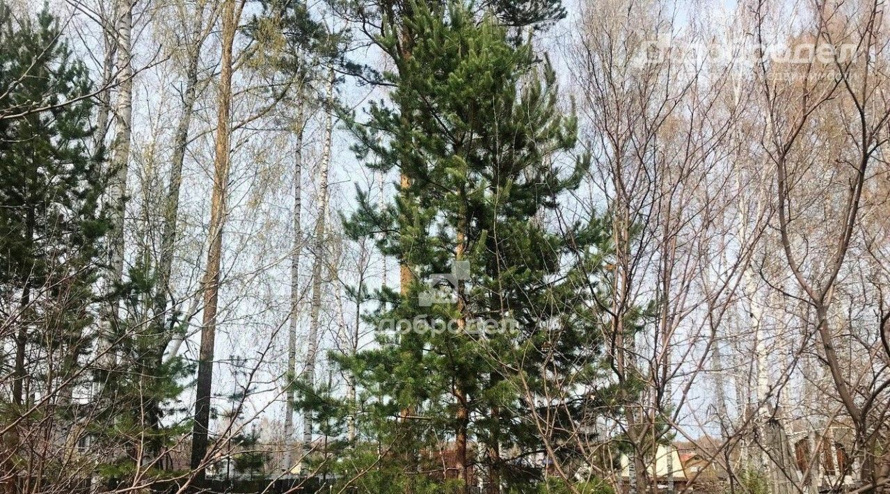 дом г Березовский п Кедровка ул Сосновая 19 фото 32