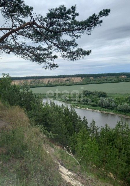 земля р-н Рамонский снт Ямань ул Солнечная фото 2