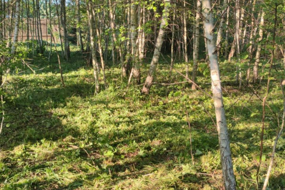 земля городской округ Ступино д Гридюкино снт терКарусель Лесная улица фото 4