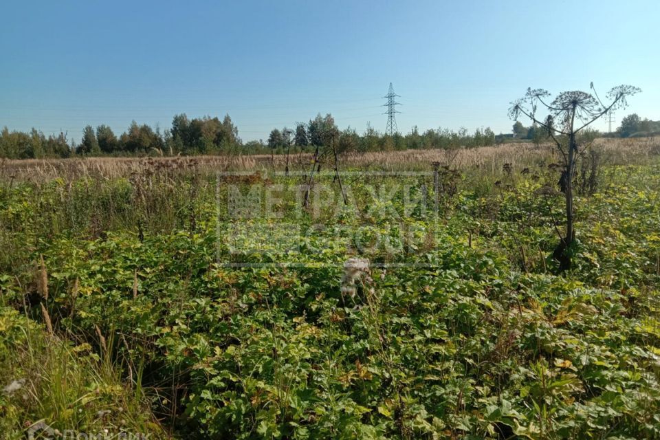 земля г Пушкино снт Свет 29, городской округ Пушкинский фото 9