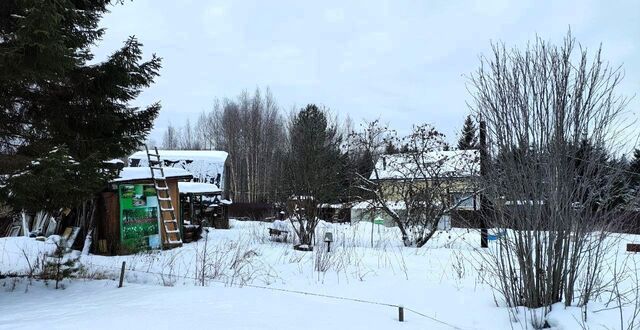 Лисинское сельское поселение, Форносово, садоводческий массив Рынделево фото