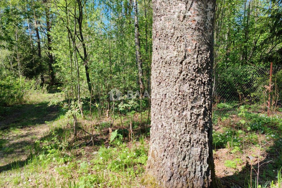 земля р-н Всеволожский снт Полянка Парковая улица, ДНП Солнечные фото 1