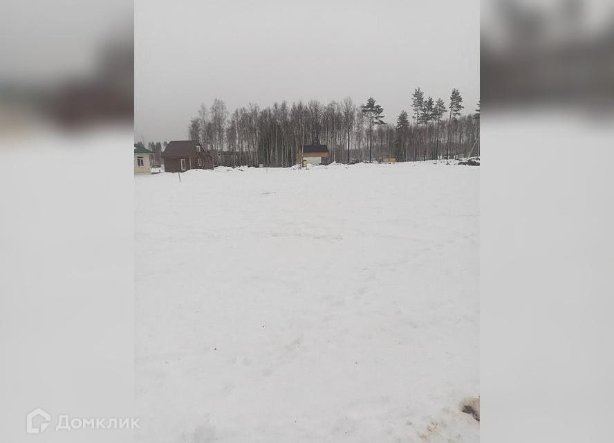 земля р-н Всеволожский Всеволожск фото 1