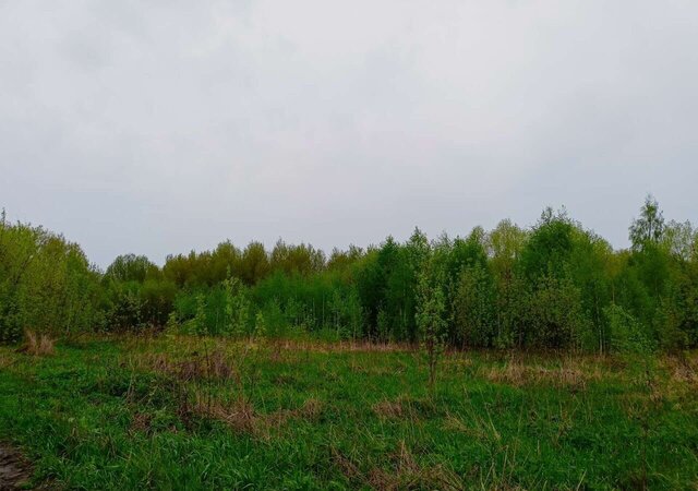 земля с Вакино Вакинское сельское поселение, Московская область, Белоомут фото