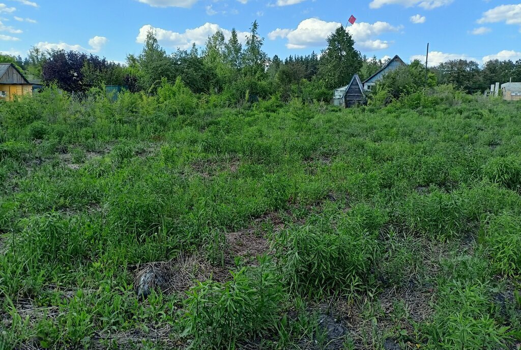 земля г Воронеж снт Дубрава ул Дубовая фото 3