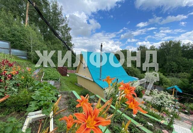 дом Раздольненский сельсовет, садоводческое товарищество Медик, Новосибирский р-н фото