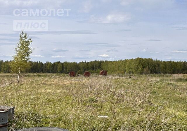 земля с Великово муниципальное образование Новосельское, 42, Мелехово фото