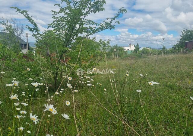 Чистенское сельское поселение, садоводческое товарищество Вымпел фото