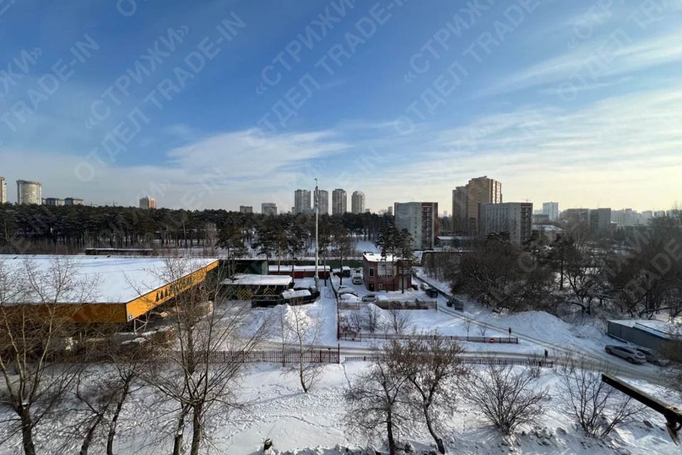 квартира г Новосибирск ул Даргомыжского 3 городской округ Новосибирск фото 1