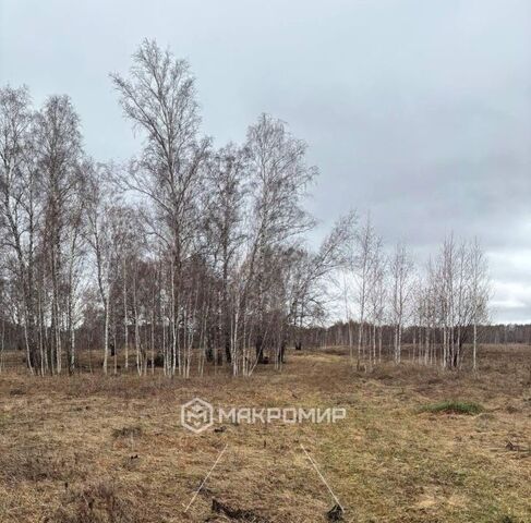 земля снт Новосибирский путеец Толмачевский сельсовет фото