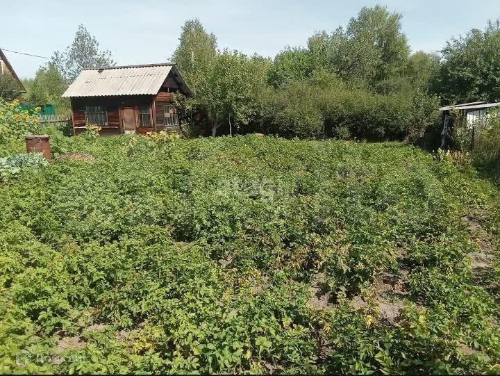 дом р-н Тюменский садоводческое некоммерческое товарищество Красная Горка фото 1