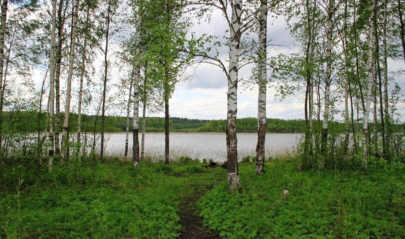 земля р-н Кондопожский г Кондопога Кончезерское сельское поселение фото 4