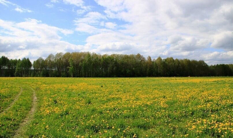 земля р-н Кондопожский г Кондопога Кончезерское сельское поселение фото 12