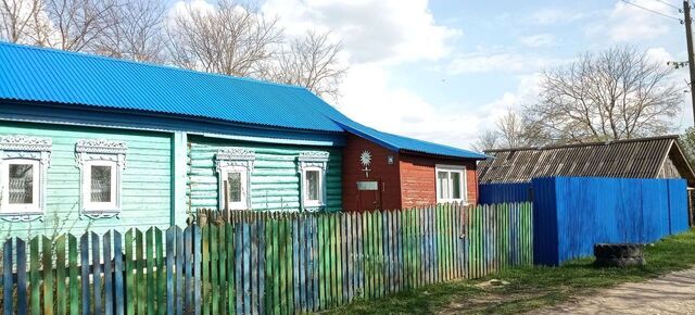 Занино-Починковское сельское поселение, Ижевское фото