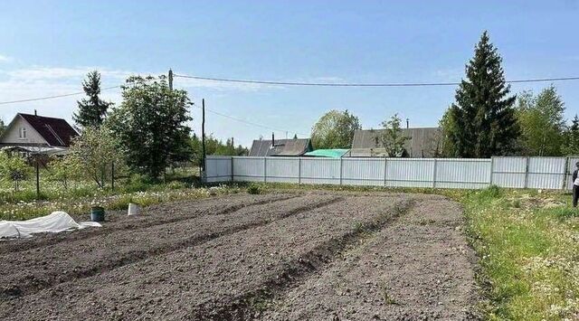 земля Панковское городское поселение, № 3 садоводческий массив, Рябинушка садоводческое товарищество фото