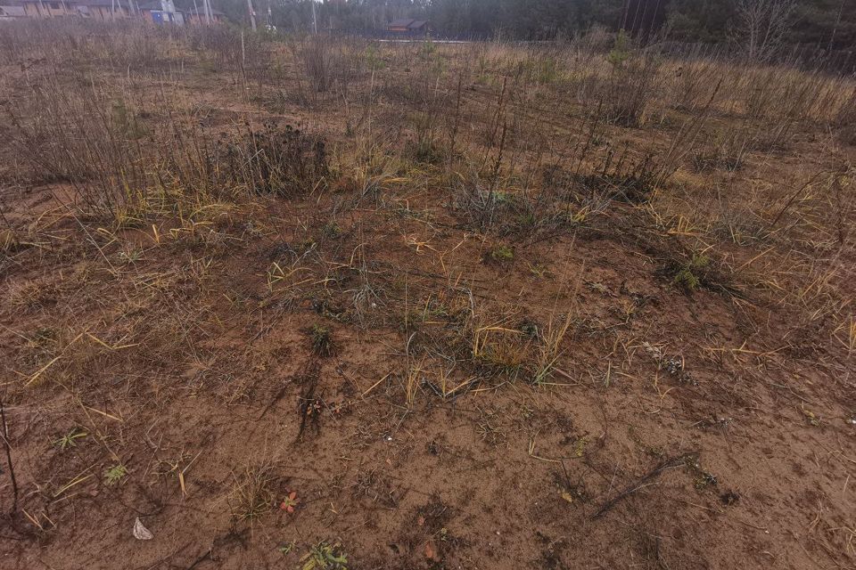 земля Чайковский городской округ, деревня Оралки фото 2