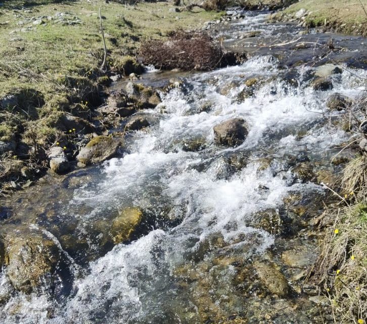 дом р-н Усть-Коксинский село Баштала фото 3