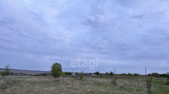 земля с Марьяновка ул Сосновая фото