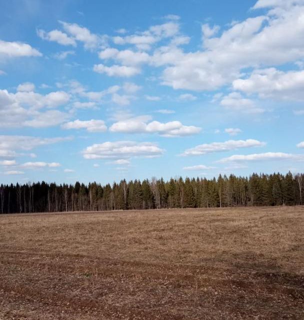 земля р-н Череповецкий деревня Заречка фото 1