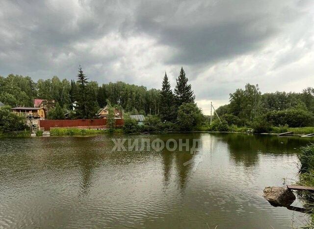 Барышевский сельсовет, Заросшая доога, Новосибирск фото