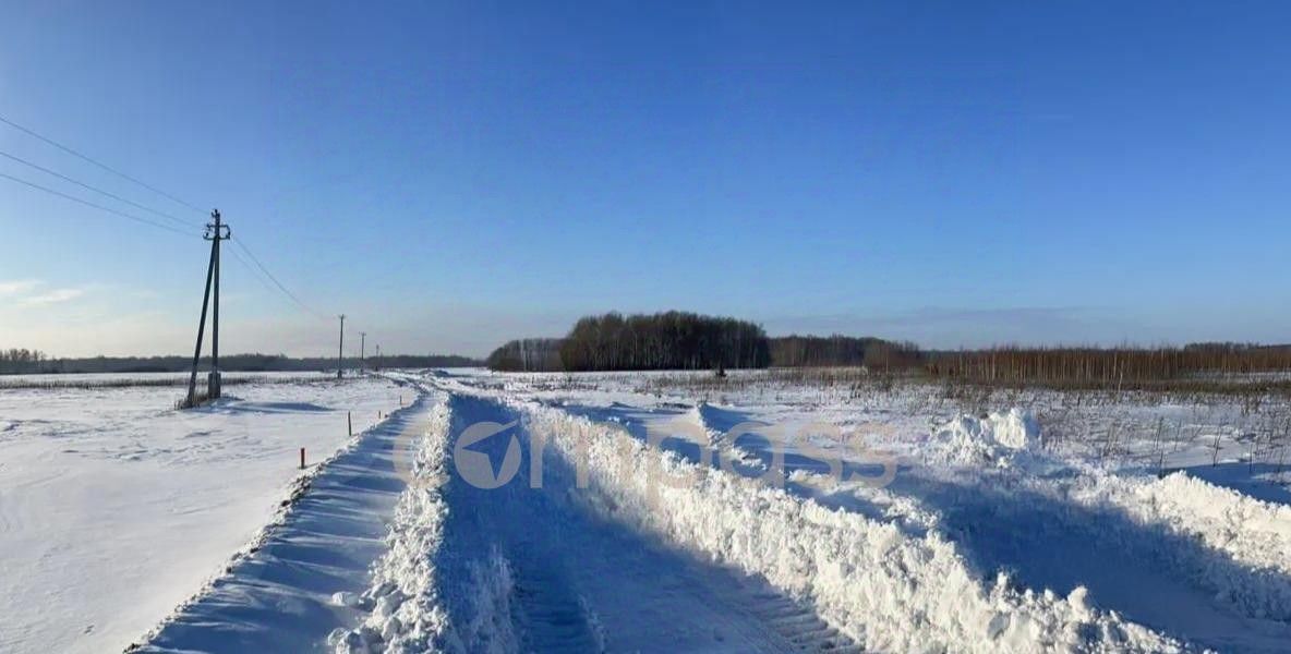 земля р-н Тюменский с Горьковка ул Сибирская фото 9