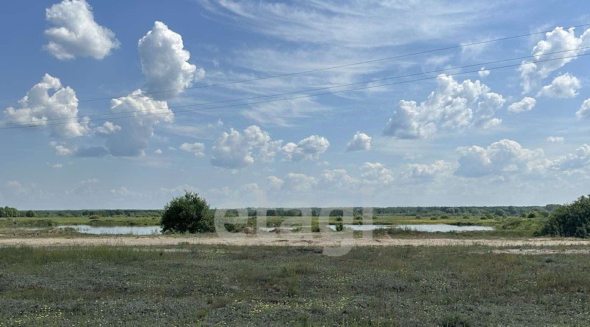 земля р-н Брянский п Новые Дарковичи Новодарковичское с/пос, Болва СДТ фото 3