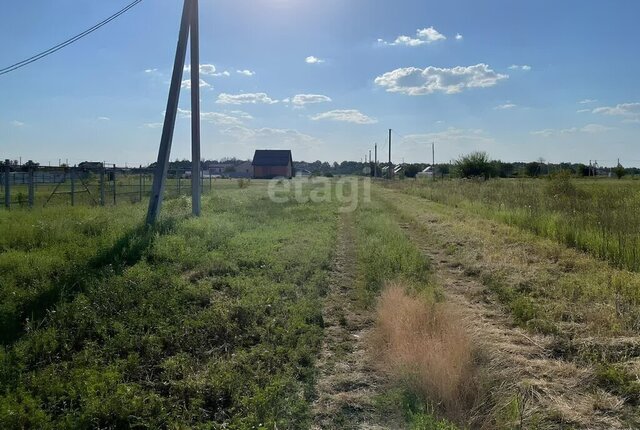земля Новотитаровское сельское поселение фото
