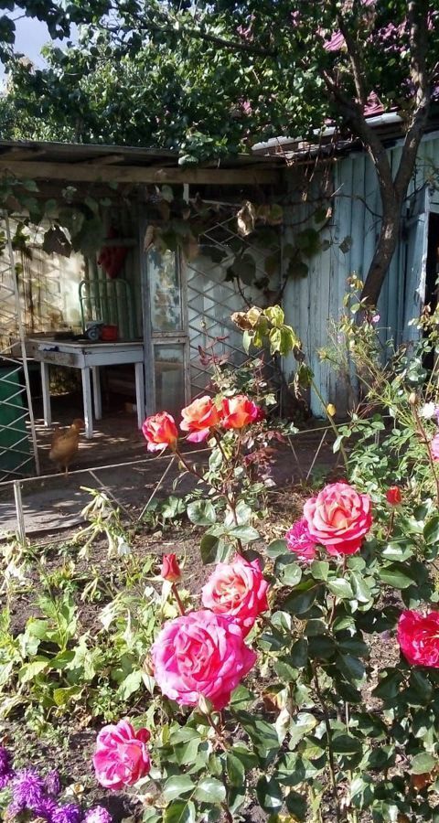 дом р-н Богородицкий г Богородицк пер Горный муниципальное образование фото 19
