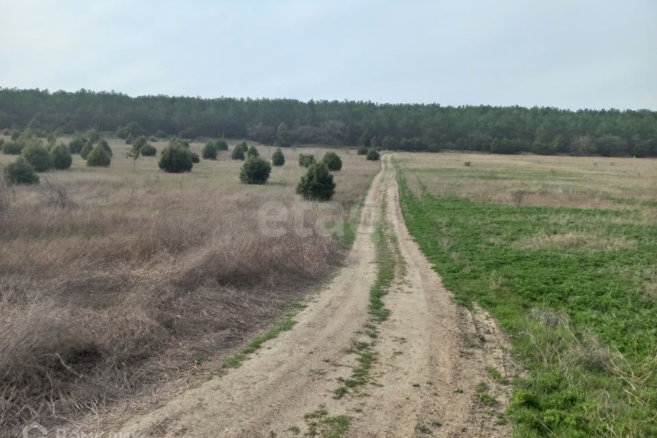 земля г Севастополь Балаклавский район, КСП Память Ленина фото 1