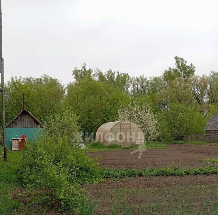 дом р-н Первомайский с Повалиха ул Школьная фото 12