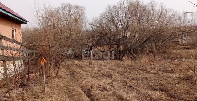 земля с Ильинка сельское поселение село Ильинка, Хабаровск фото