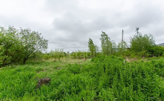 земля сельсовет, дачное некоммерческое партнёрство Тихая Заводь, Южная ул, Новосибирск фото