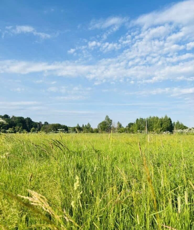 земля городской округ Можайский д Заречье 90 км, Можайск, Минское шоссе фото 7