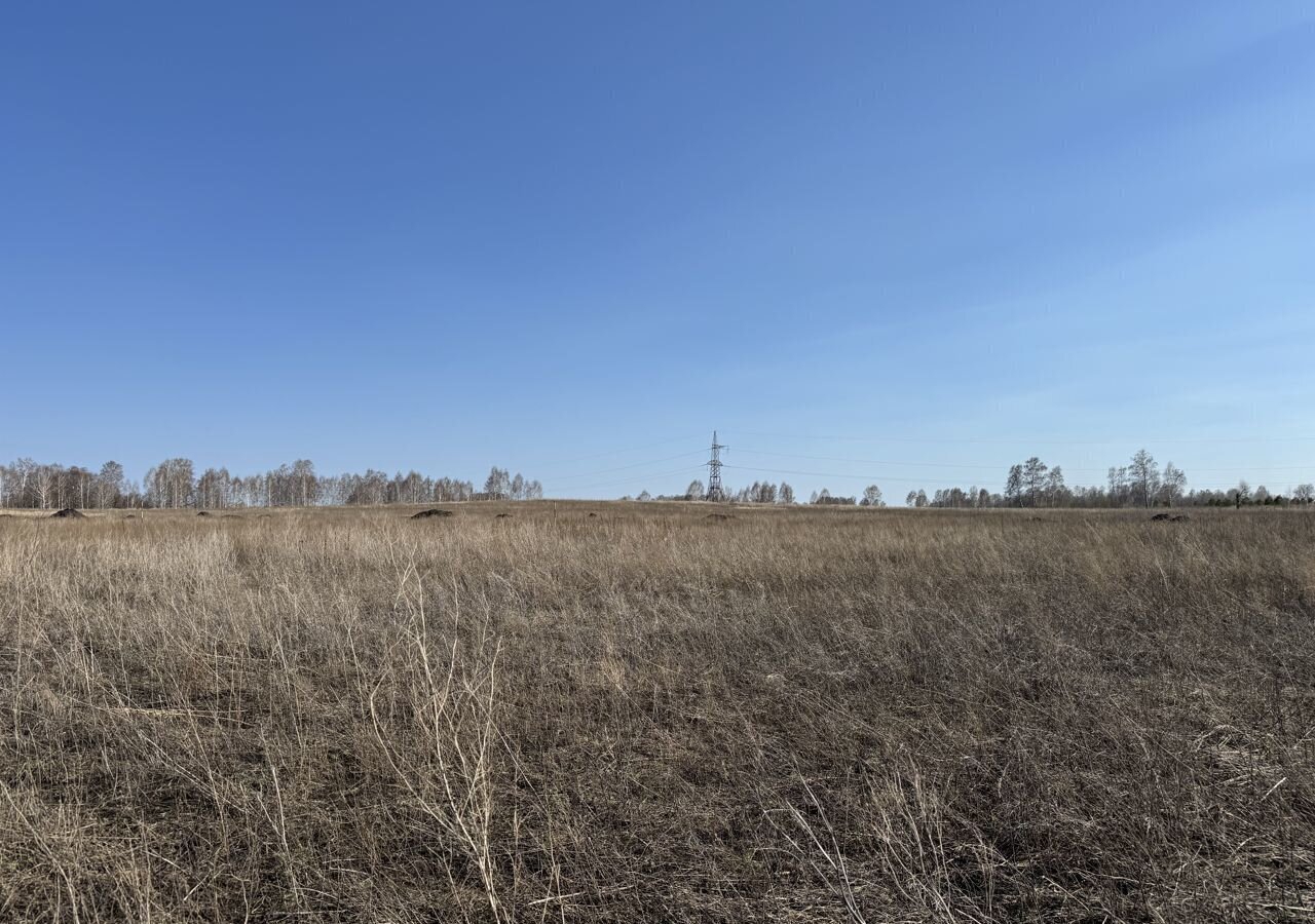 земля р-н Первомайский п Новый мкр-н Александрова слобода, Берёзовка фото 5