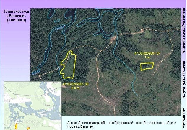 земля р-н Приозерский Ларионовское сельское поселение фото 6