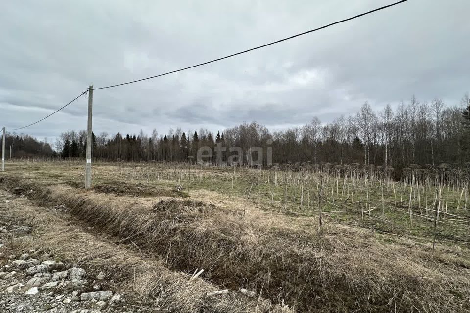 земля р-н Сыктывдинский село Выльгорт фото 2