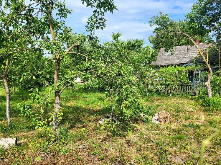 земля р-н Северский с Львовское ул Ленина фото 4