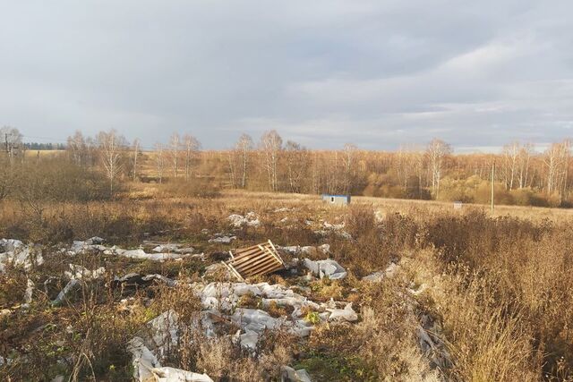 земля деревня Ивано-Соболево фото