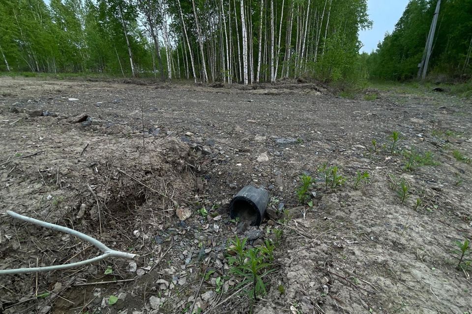 земля р-н Хабаровский СНТ Восточный сад, Виноградная улица фото 4