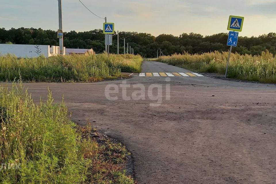 земля р-н Яковлевский с Драгунское ул Новая 7 фото 4