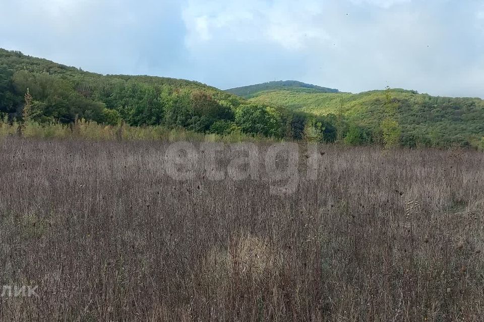 земля г Севастополь Балаклавский район, КСП Красный Октябрь фото 6