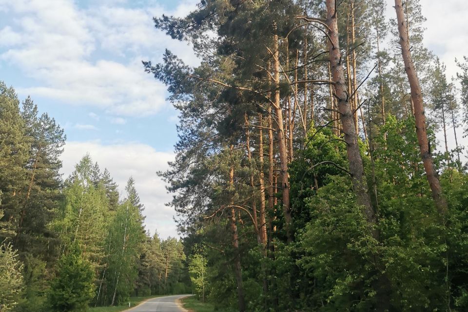 земля р-н Задонский Верхнестуденецкий сельсовет фото 8