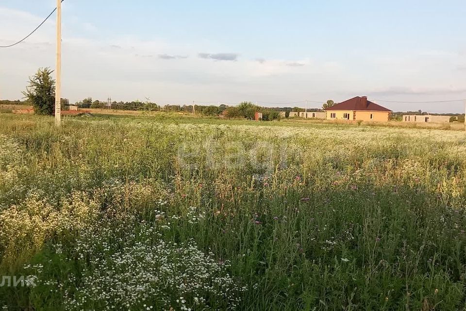 земля р-н Яковлевский с Драгунское ул Новая 7 фото 5