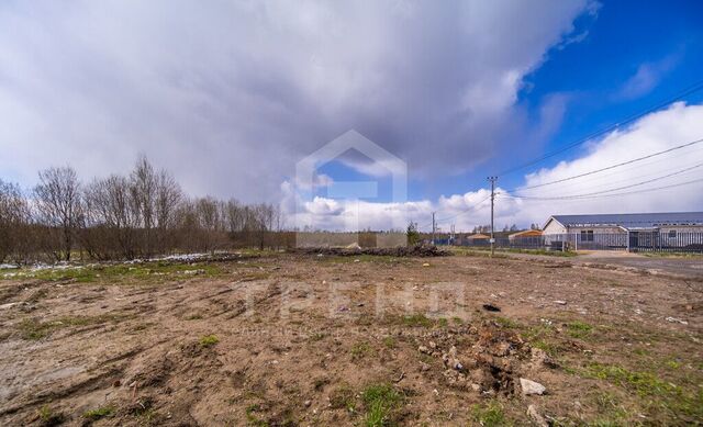 Лесколовское сельское поселение, массив Ойнелово, 1189 фото