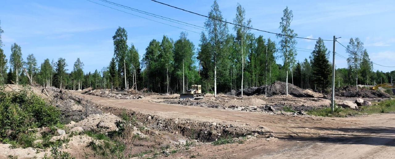 земля р-н Приозерский п Саперное Ромашкинское сельское поселение, садовое некоммерческое товарищество Ромашкинские усадьбы, ул. Александра Блока, 1 фото 2