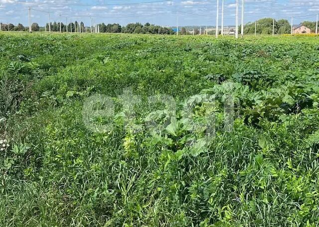 муниципальное образование Новомосковск, Новомосковск фото